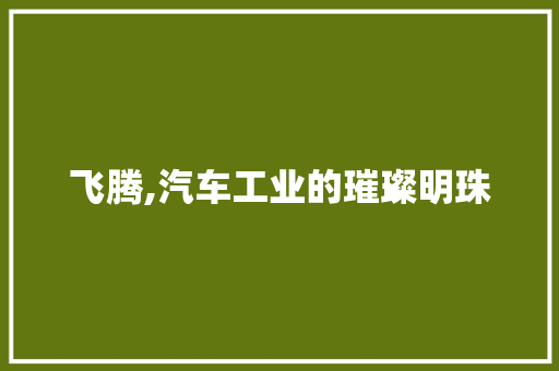 飞腾,汽车工业的璀璨明珠