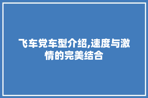 飞车党车型介绍,速度与激情的完美结合