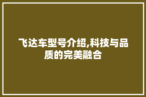 飞达车型号介绍,科技与品质的完美融合