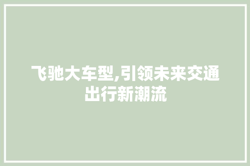 飞驰大车型,引领未来交通出行新潮流
