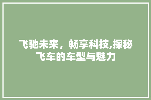 飞驰未来，畅享科技,探秘飞车的车型与魅力