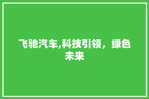 飞驰汽车,科技引领，绿色未来