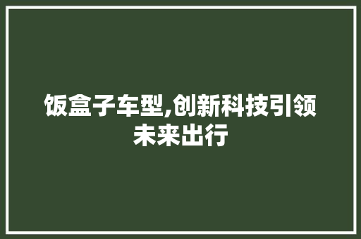 饭盒子车型,创新科技引领未来出行