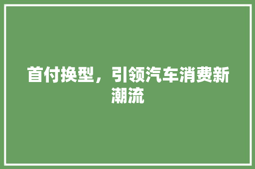 首付换型，引领汽车消费新潮流
