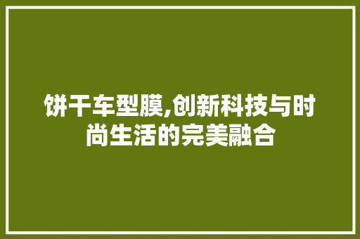 饼干车型膜,创新科技与时尚生活的完美融合