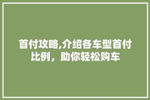 首付攻略,介绍各车型首付比例，助你轻松购车