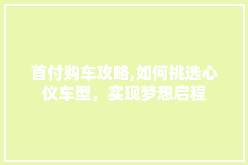 首付购车攻略,如何挑选心仪车型，实现梦想启程