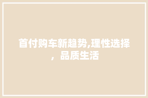首付购车新趋势,理性选择，品质生活