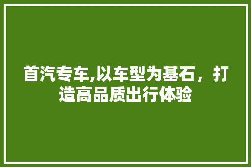 首汽专车,以车型为基石，打造高品质出行体验
