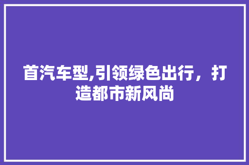 首汽车型,引领绿色出行，打造都市新风尚