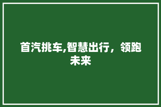 首汽挑车,智慧出行，领跑未来