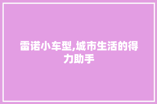 雷诺小车型,城市生活的得力助手