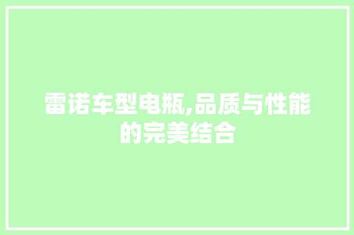 雷诺车型电瓶,品质与性能的完美结合