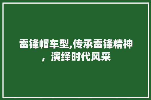 雷锋帽车型,传承雷锋精神，演绎时代风采