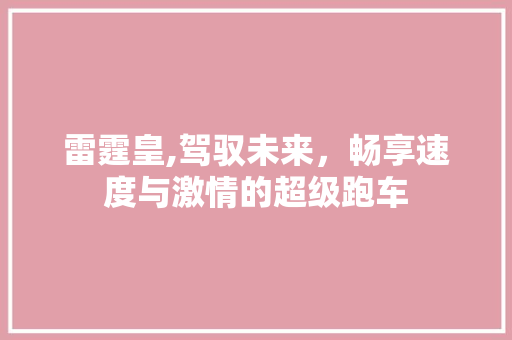 雷霆皇,驾驭未来，畅享速度与激情的超级跑车