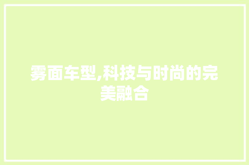 雾面车型,科技与时尚的完美融合
