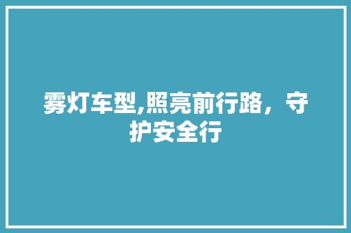 雾灯车型,照亮前行路，守护安全行