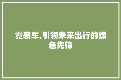 霓裳车,引领未来出行的绿色先锋