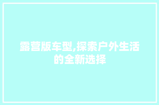 露营版车型,探索户外生活的全新选择