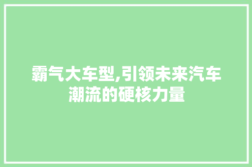 霸气大车型,引领未来汽车潮流的硬核力量