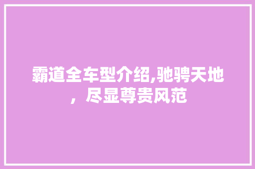 霸道全车型介绍,驰骋天地，尽显尊贵风范