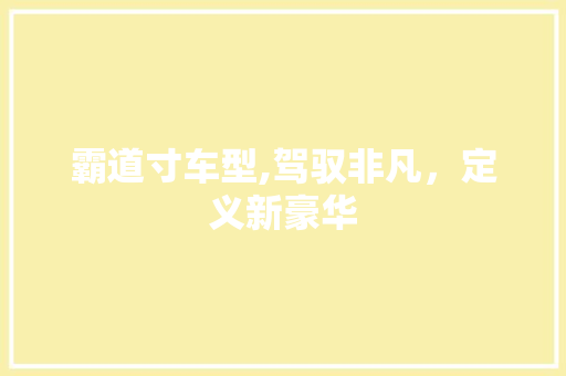 霸道寸车型,驾驭非凡，定义新豪华