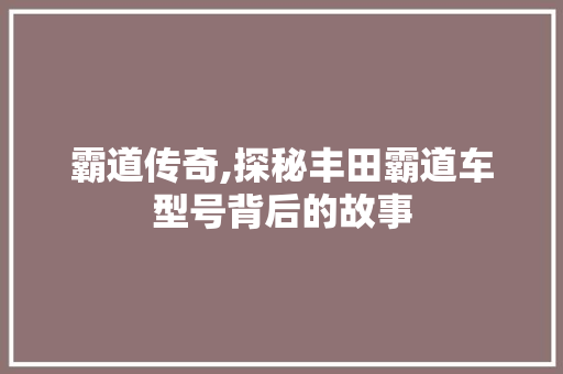 霸道传奇,探秘丰田霸道车型号背后的故事