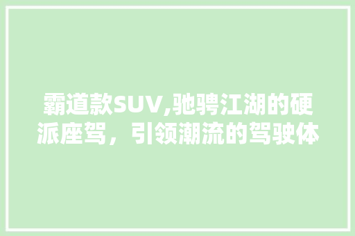 霸道款SUV,驰骋江湖的硬派座驾，引领潮流的驾驶体验