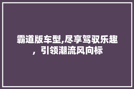 霸道版车型,尽享驾驭乐趣，引领潮流风向标