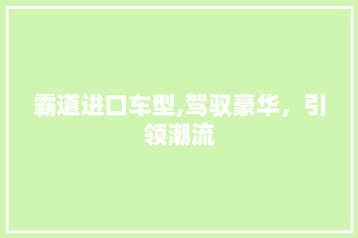 霸道进口车型,驾驭豪华，引领潮流