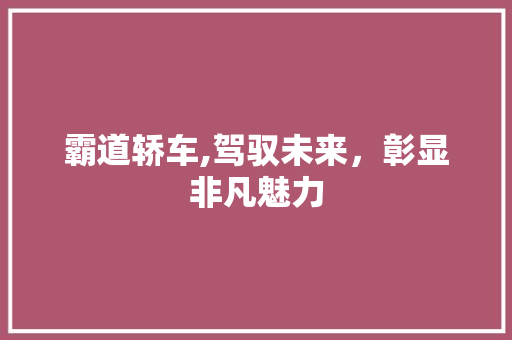 霸道轿车,驾驭未来，彰显非凡魅力