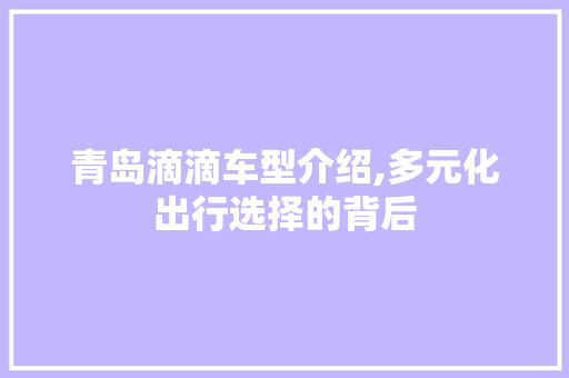 青岛滴滴车型介绍,多元化出行选择的背后