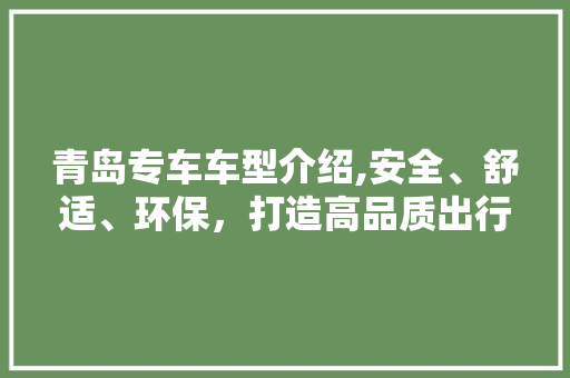 青岛专车车型介绍,安全、舒适、环保，打造高品质出行体验