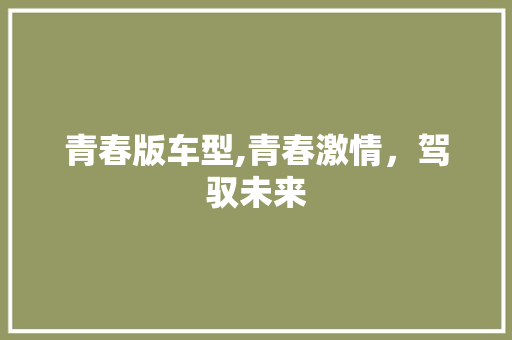 青春版车型,青春激情，驾驭未来