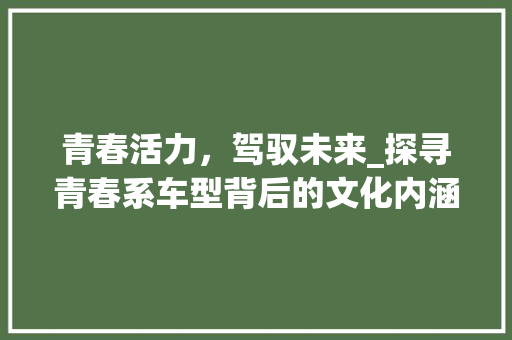 青春活力，驾驭未来_探寻青春系车型背后的文化内涵