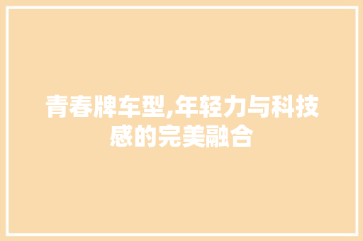 青春牌车型,年轻力与科技感的完美融合