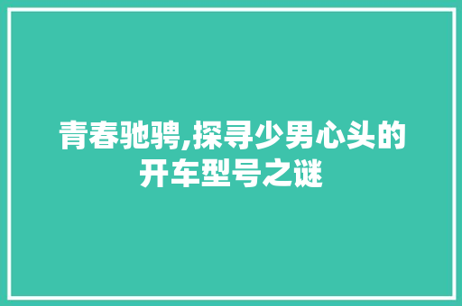 青春驰骋,探寻少男心头的开车型号之谜