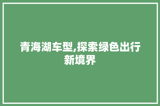 青海湖车型,探索绿色出行新境界