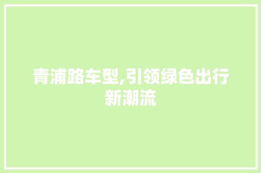 青浦路车型,引领绿色出行新潮流