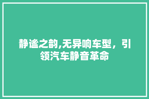 静谧之韵,无异响车型，引领汽车静音革命