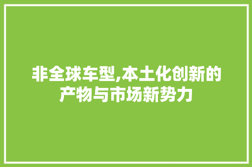 非全球车型,本土化创新的产物与市场新势力