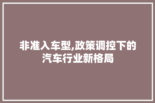 非准入车型,政策调控下的汽车行业新格局