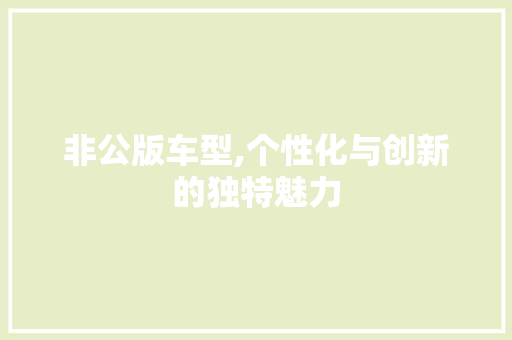 非公版车型,个性化与创新的独特魅力