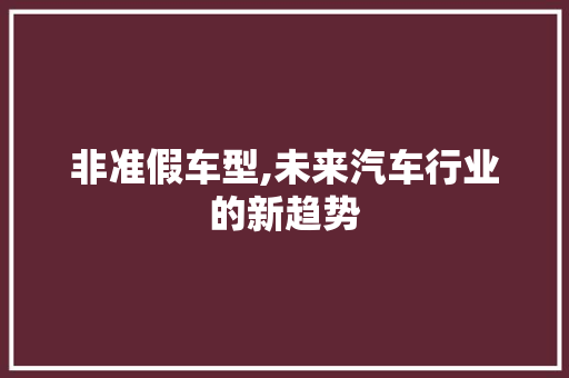 非准假车型,未来汽车行业的新趋势