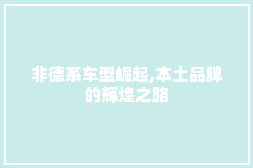 非德系车型崛起,本土品牌的辉煌之路