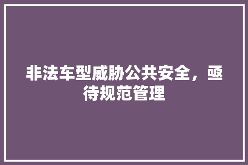 非法车型威胁公共安全，亟待规范管理