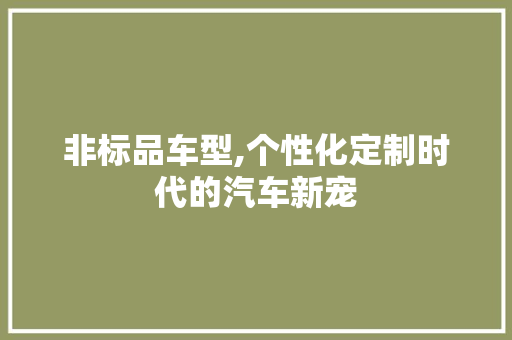 非标品车型,个性化定制时代的汽车新宠
