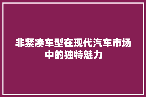 非紧凑车型在现代汽车市场中的独特魅力 新能源汽车
