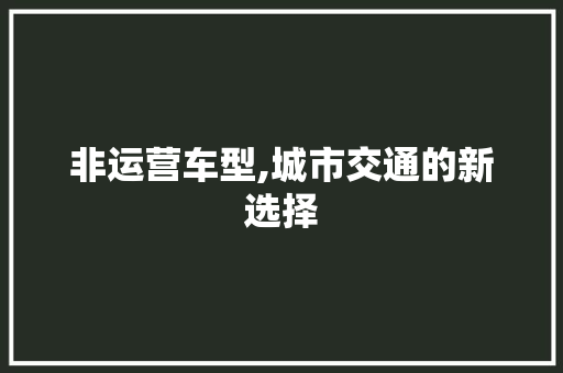 非运营车型,城市交通的新选择