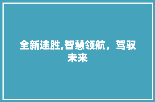 全新途胜,智慧领航，驾驭未来